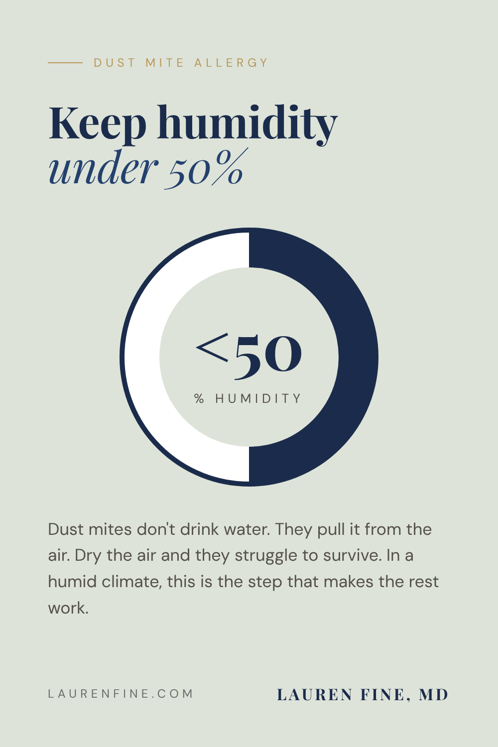 Keep humidity under 50 percent. Dust mites pull water from the air, so drier air helps control a dust mite allergy.